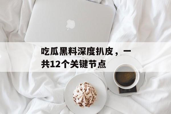 吃瓜黑料深度扒皮，一共12个关键节点