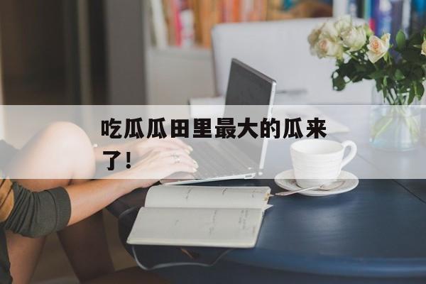 吃瓜瓜田里最大的瓜来了！
